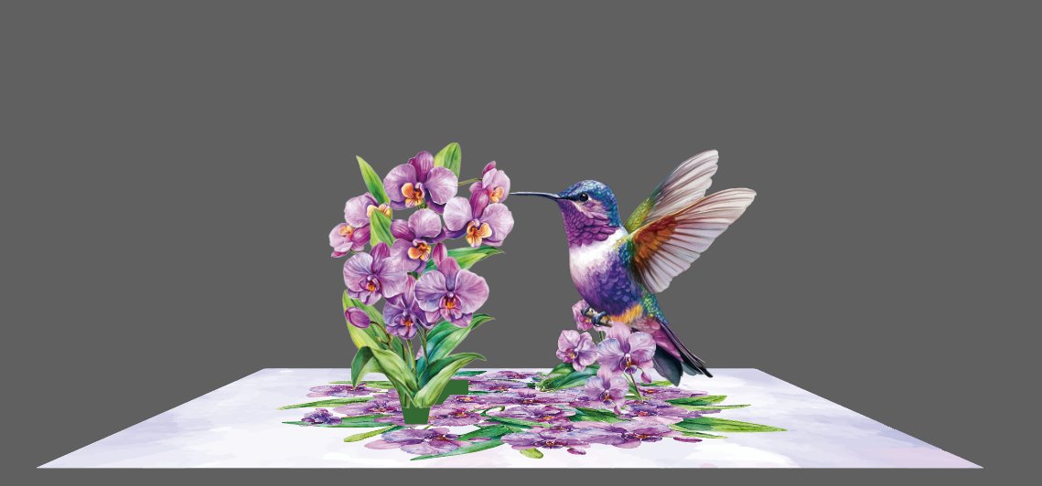 Orchid Hummingbird Greeting Card
