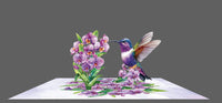 Orchid Hummingbird Greeting Card