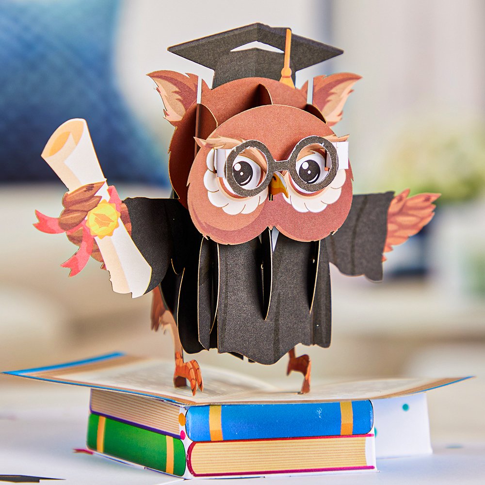 Owl Graduation 3D Pop Up Card
