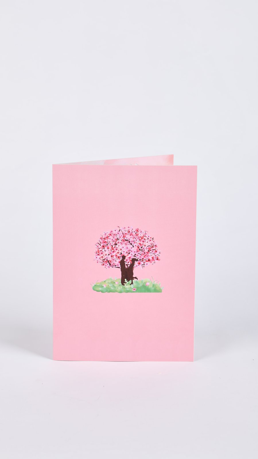 Valentine's Day Cherry Blossom Tree Pop Up Card