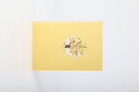 Money Tree 3D Pop Up Card