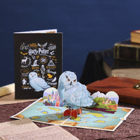 Owl Delivering Mail Map Greeting Card