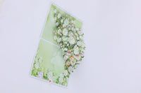 White Rose 3D Pop Up Card