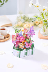 Butterfly Box Card