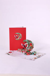 Christmas Bird Pop Up Card