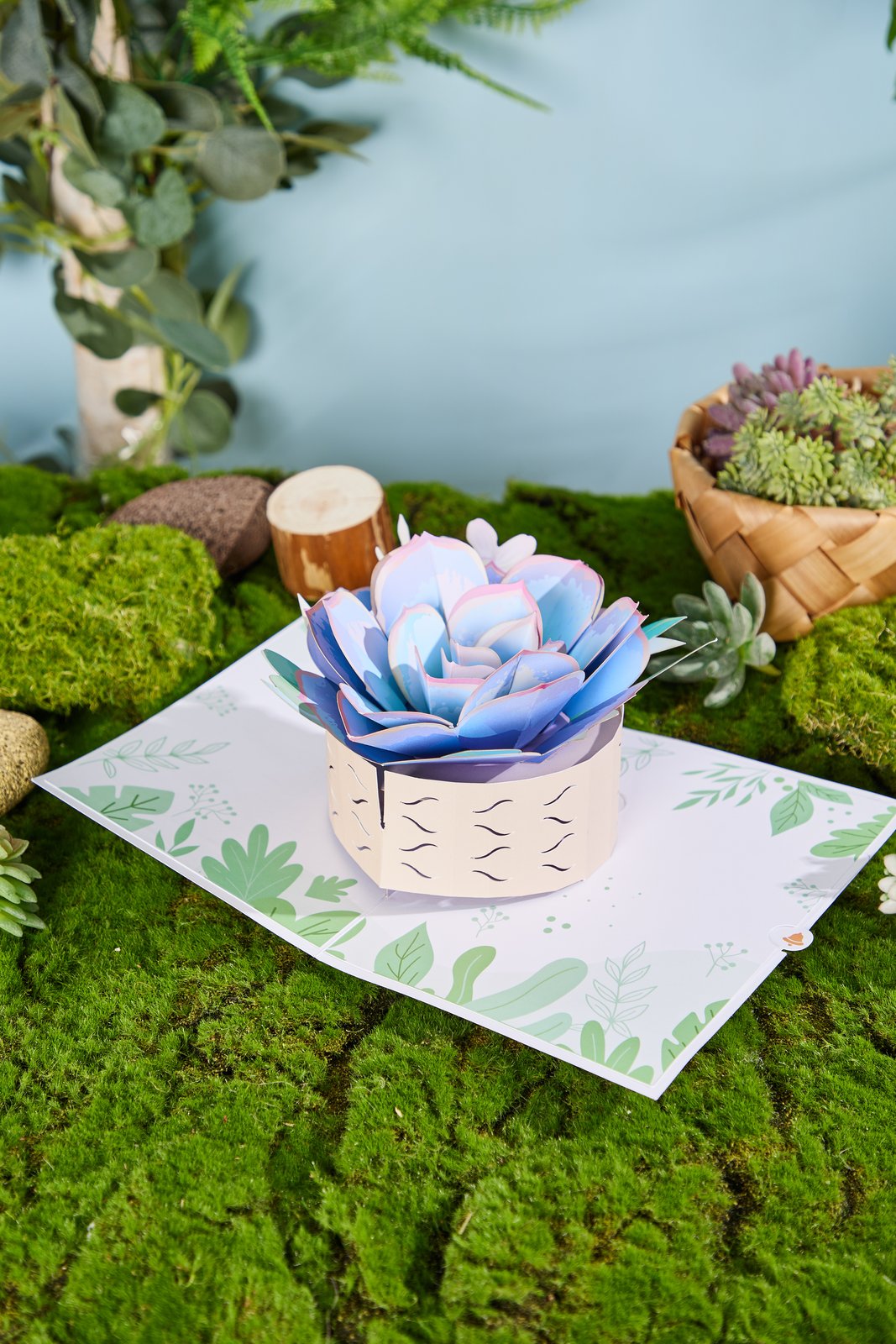 Succulent Flower Pot 3D Pop Up Card