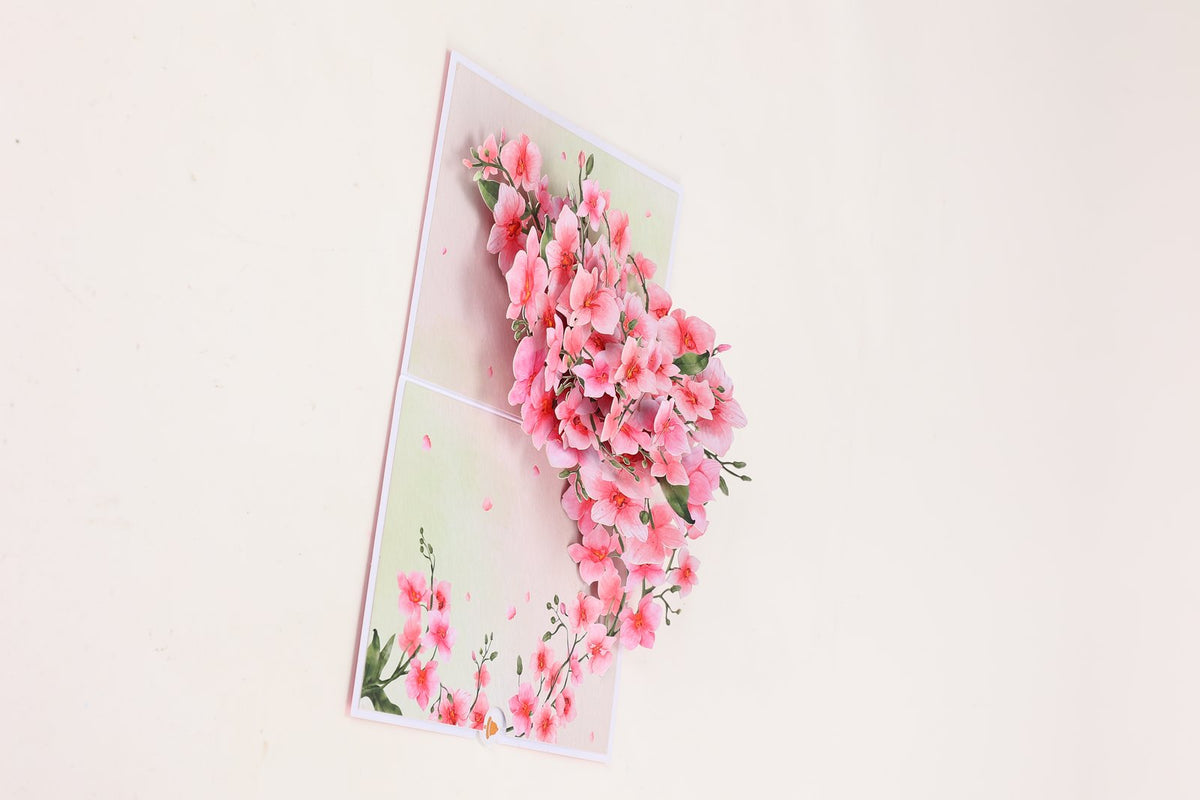 Pink Orchid Greeting Card