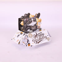 Birthday Cat Box Card