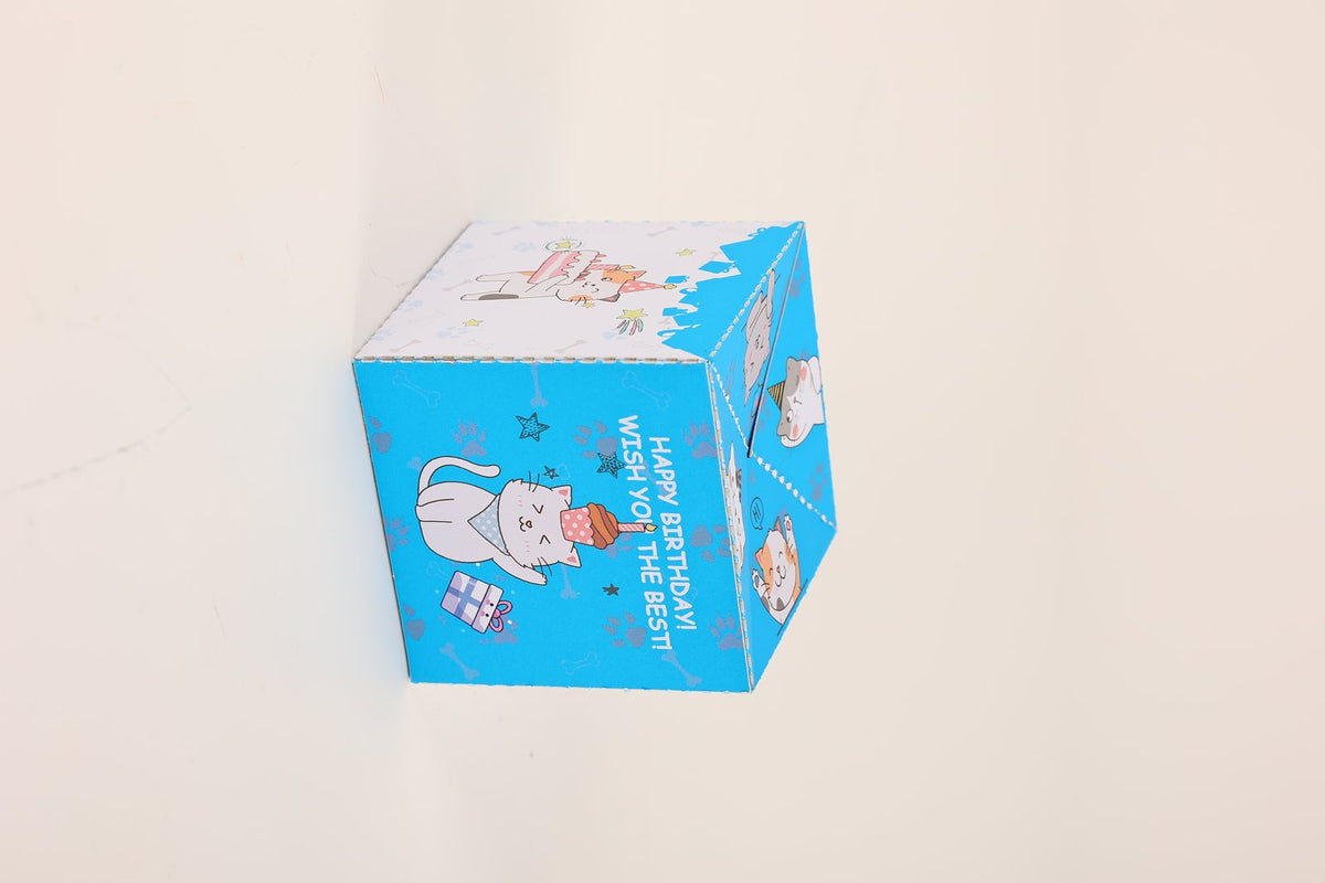 Funny Cat Surprise Envelope Pop Up Card