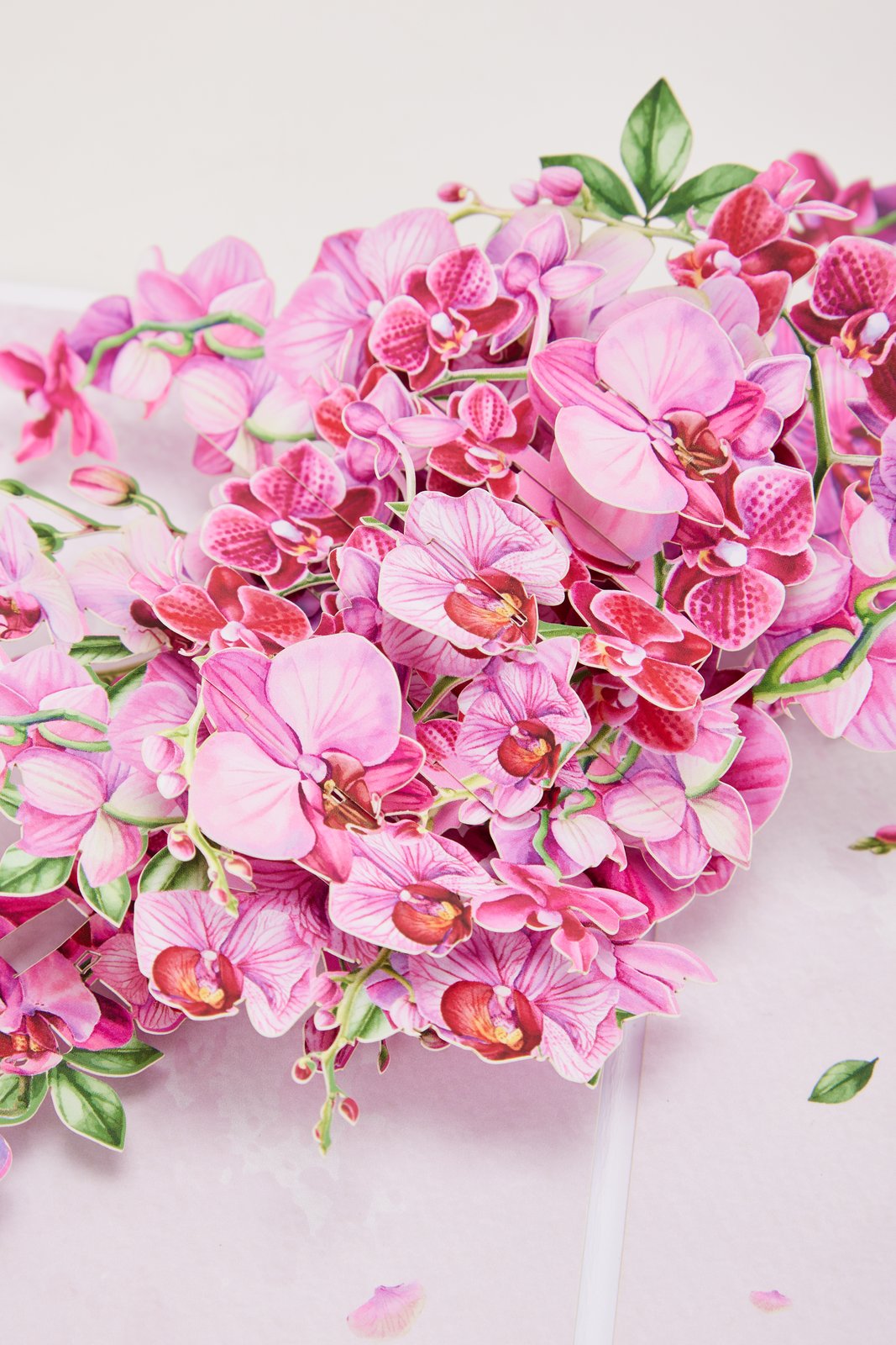 Orchid Greeting Card